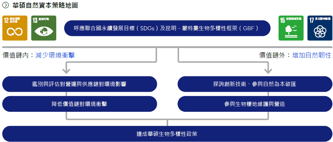 此圖顯示華碩價值鏈內的策略：減少環境衝擊、價值鏈外的策略：增加自然韌性，以及相對應的行動